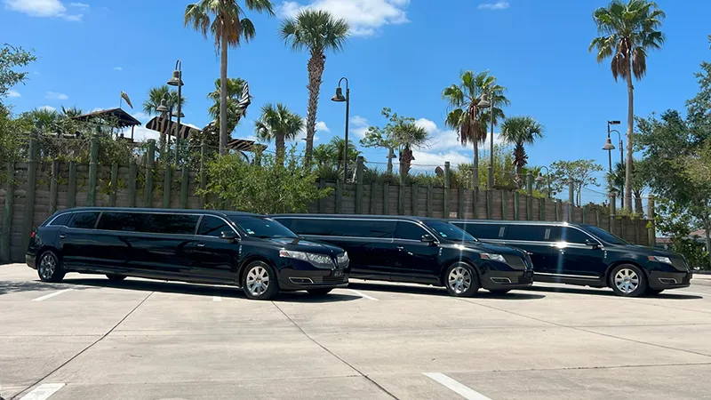 Private Black Car in Orlando for Disney