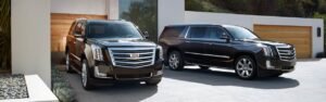 Chauffeur Service West Palm Beach